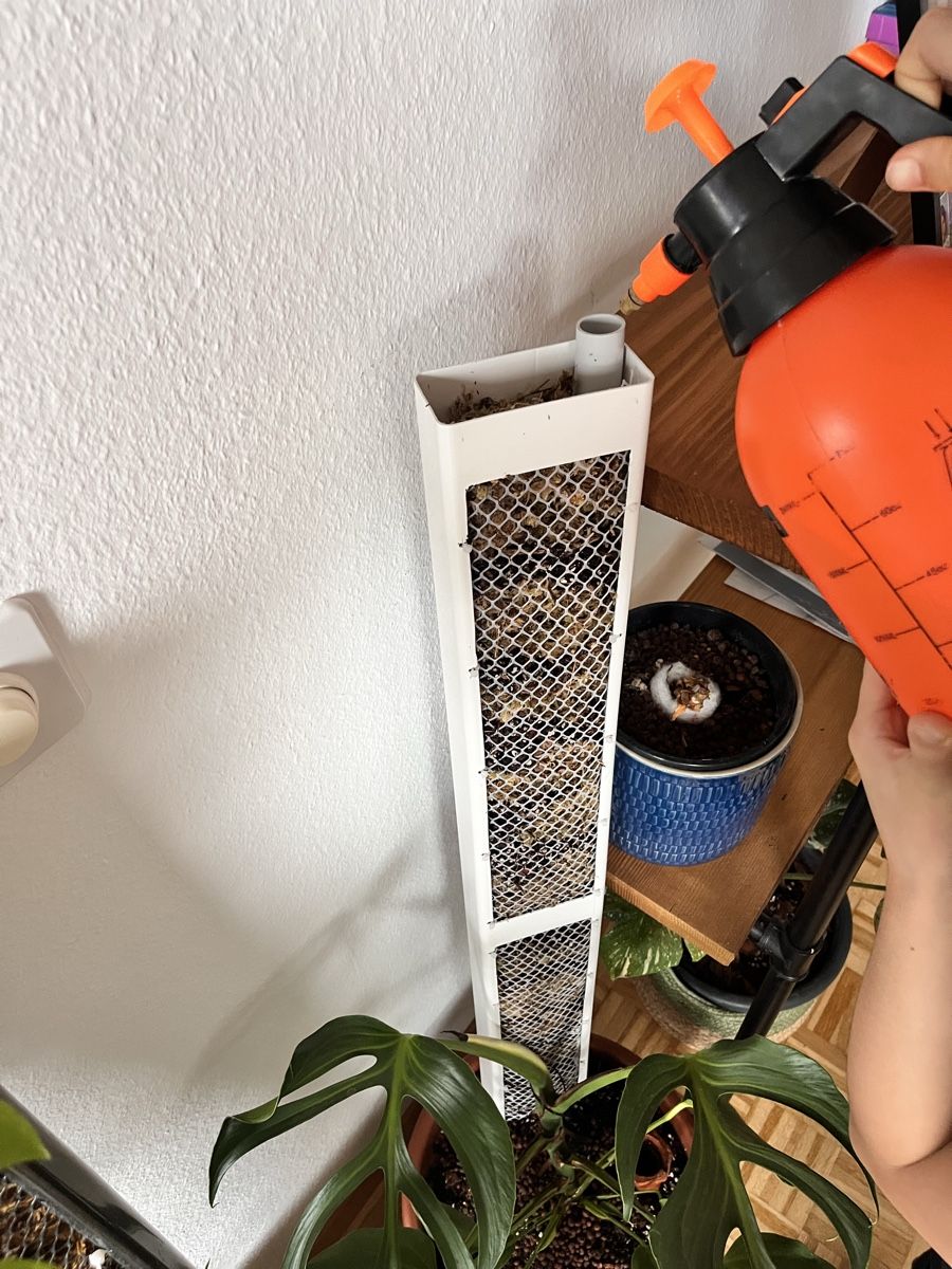 Pflanzen & Samen: Moosstab / Plant Climbing Support - White, New, Grab Now! – Neu (gemäss Beschreibung) aus Sursee von gal_lp7g 2