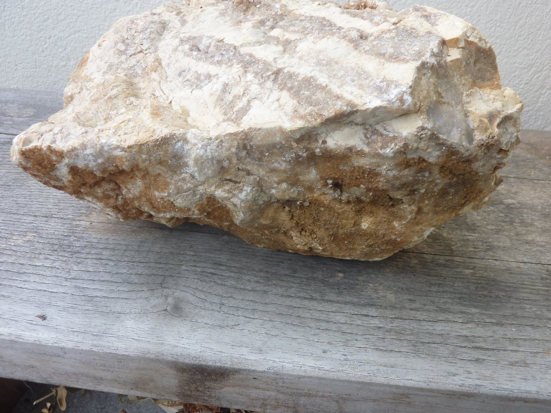 Fossili: Grosse, versteinerte Koralle, Rohstein – Nuovo (secondo la descrizione) da Triengen venduto da Nussbaum14 2