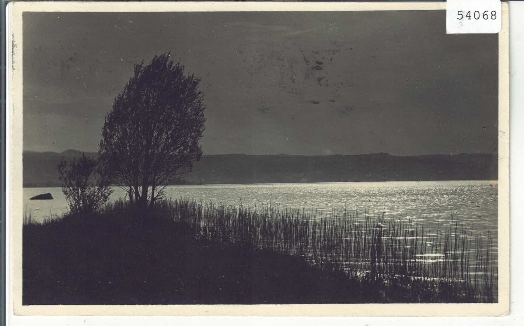 Cartoline postali: Bei der Ufenau – Usato da Ettingen venduto da Kartenplanet