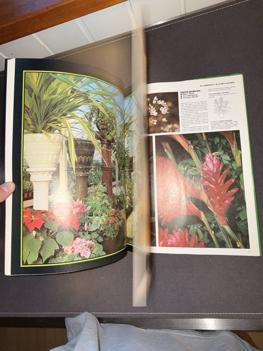 Bücher: Livre – Gebraucht aus Le Sentier von CannelleVintage13 6
