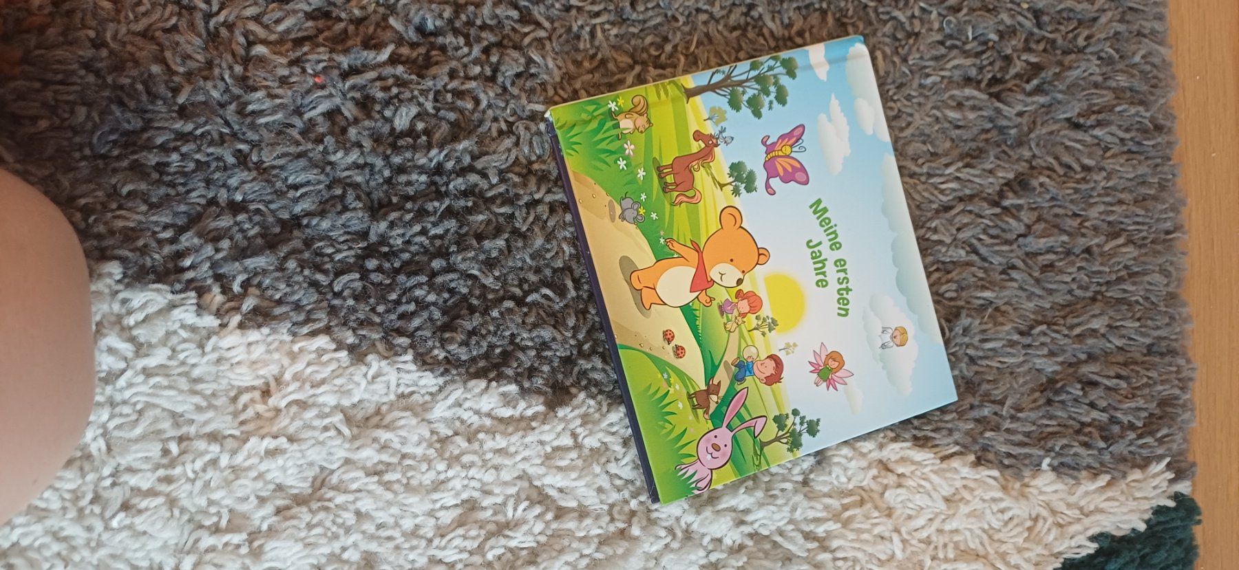Bücher: 6x bucher – Gebraucht aus Riniken von Lessy- 2