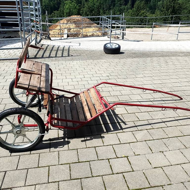 Carrozze: Ponywägeli – Usato da Herisau venduto da hrs_9cbp 3