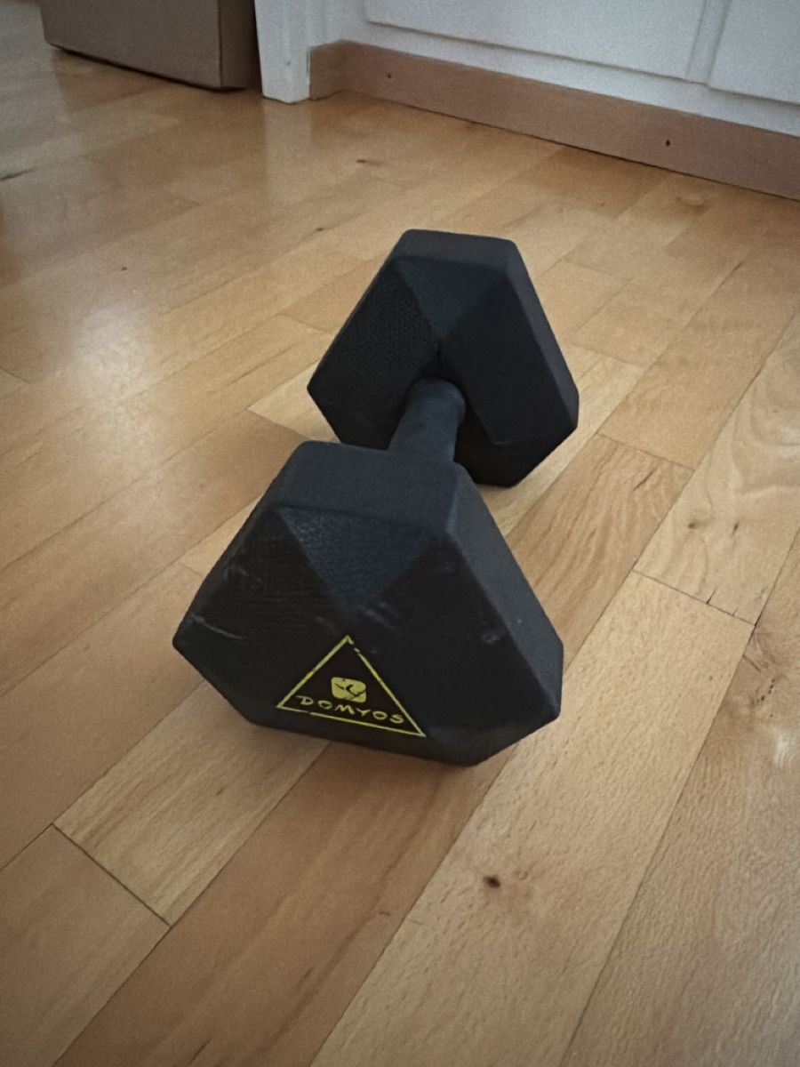 Hanteln & Gewichte: Dumbbell Domyos hexagonal black 10kg used – Gebraucht aus Lausanne von lui_7d6h