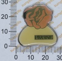 Pivoine / Pfingstrose - Pin