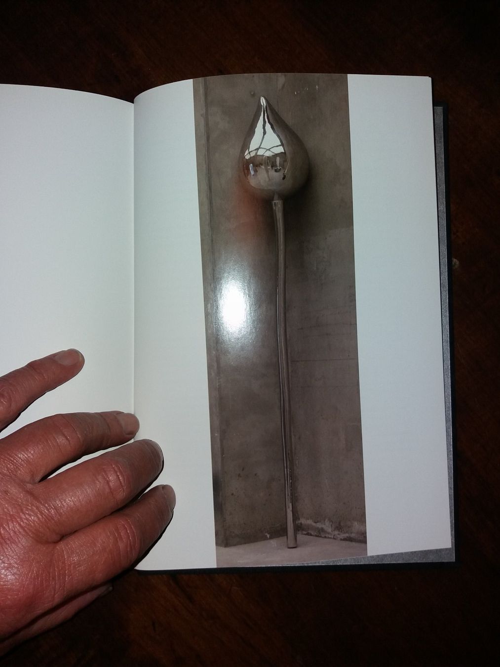 Libri: Buch "Not Vital Suicides" Kunstklassssssssiker selten – Usato da Welschenrohr venduto da Regool 5