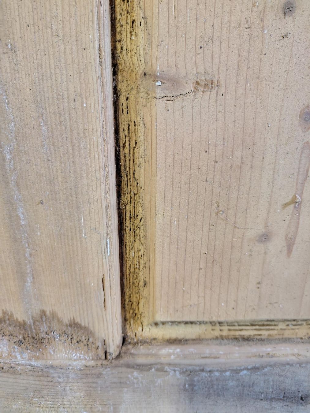 Porte: Holztür – Difettoso da Cazis venduto da jaiyen 3