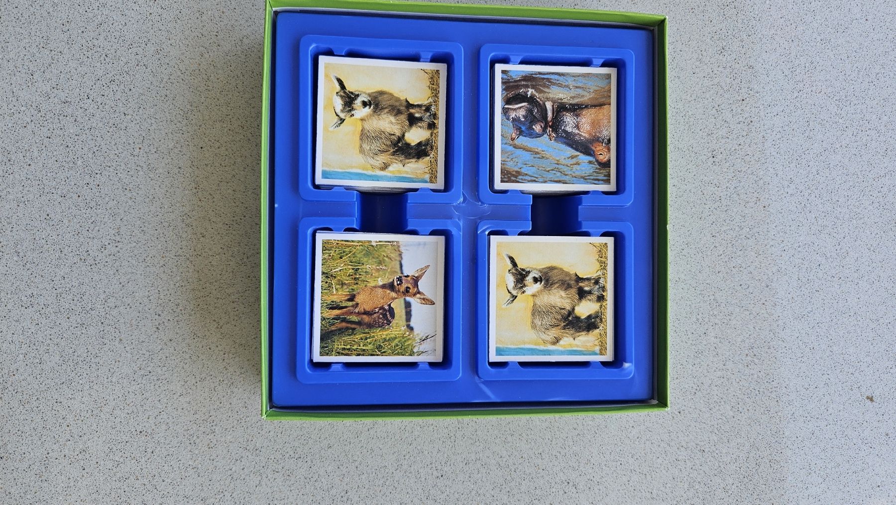 Ravensburger Giochi: Tierkinder Memory von Ravensburger. – Usato da rain venduto da Bbaumli 1