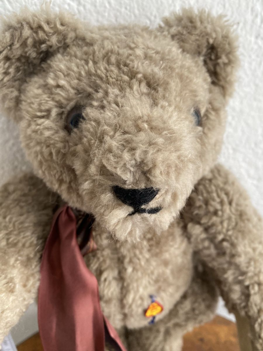 Giocattoli: Clemens Bär mit Brummstimme – Usato da Zuchwil venduto da Niranada 4