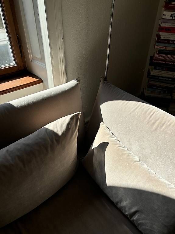 Vitra Divani: Vitra Mariposa 2 Sitzer – Usato da Basel venduto da selise 4