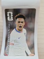 Antonee Robinson USA Panini Coca-Cola Sammelbild Top Zustand