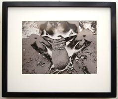 Fotografie: Der Stein