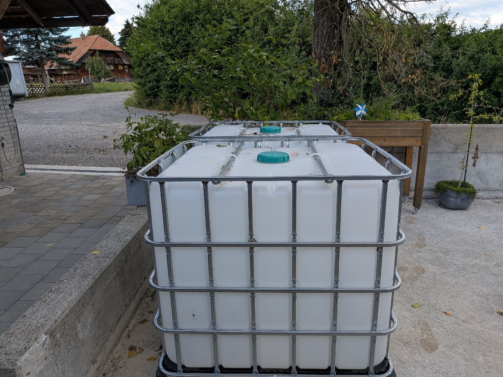 Abbeveratoi e trogoli: IBC Container 1000L mit Hahn gebraucht 2 Stück  – Usato da Schüpbach venduto da nando.moser 1