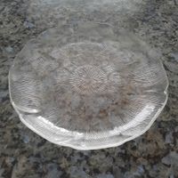 5 grosse Glasteller (Salat/Dessert)