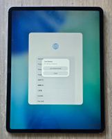 iPad Pro 4  (12,9″, 4. Generation) 256 GB Speicher  A2232