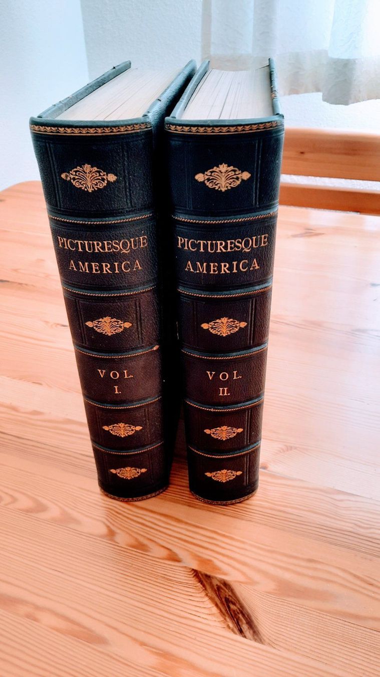 Libri: Malerisches  Amerika: oder das Land, in dem wir leben – Usato da zürich venduto da gabab