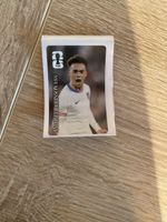 Coca Cola Panini Sticker Robinson