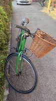 Velo 26, Green, gepflechte.