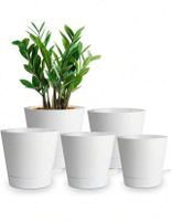Topf Set, 5-teilig, selbstbewässernt neu!