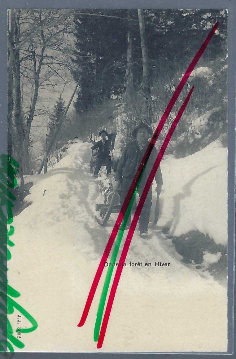 Ansichtskarten: Dans la Forêt en Hiver. – Gebraucht aus Horw von SwissSteamMemories