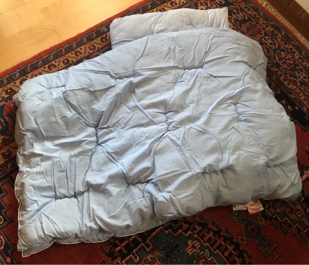Coperte: STEPPDECKEN/DUVETS (3 Stück) – Usato da Mühlebach (Goms) venduto da chr_q6d8 1