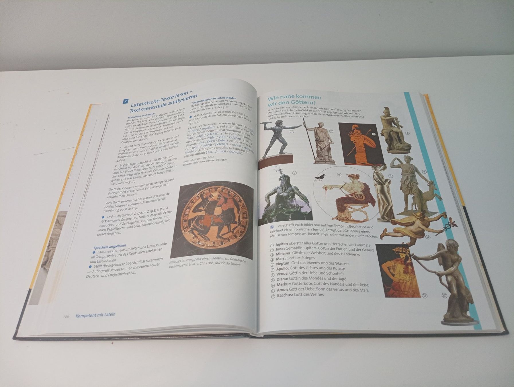 Libri: Prima Nova Latein lernen (Textband) – Usato da Zumikon venduto da leo_kfq6 3