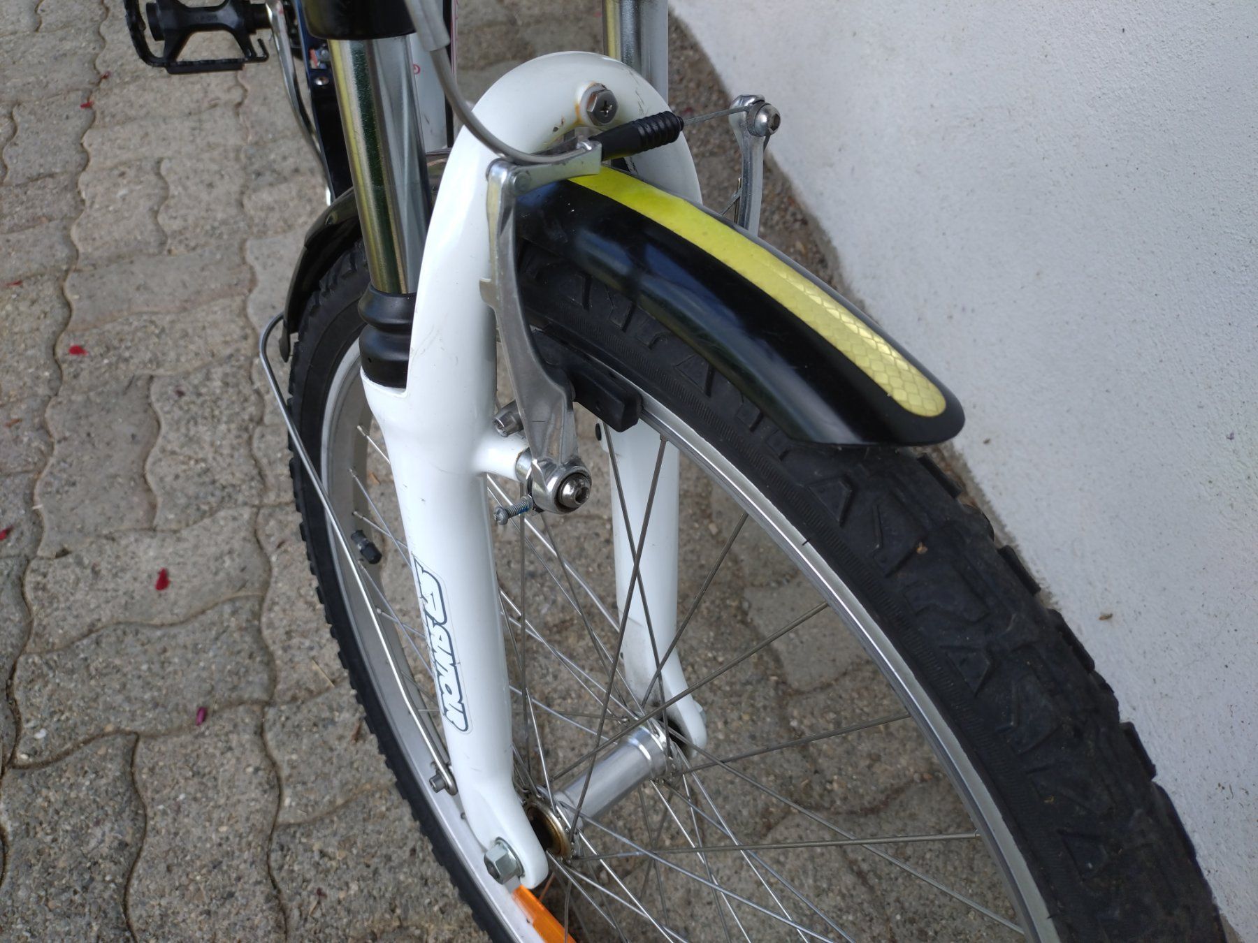 Biciclette: Kindervelo California Rose – Usato da Schwarzenbach SG venduto da Veloma 1