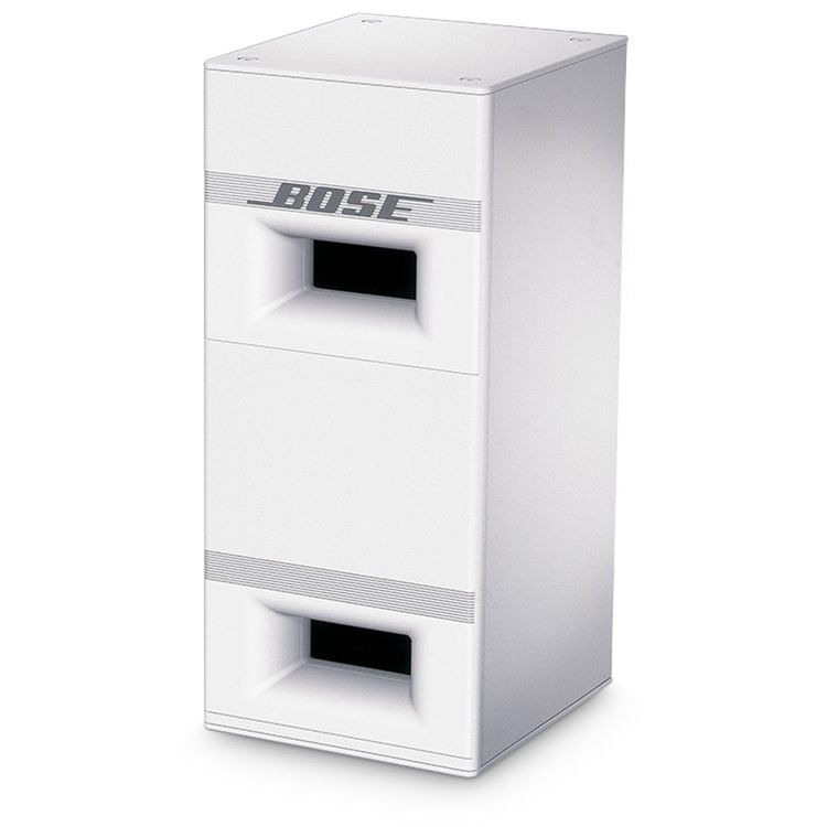 BOSE PRO 502b Subwoofer (Gebraucht) in Miège für CHF 248 – nur Abholung ...