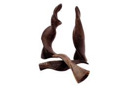 1 original Schafshorn Horn Schafkopf Schafhörner Schaf Bock