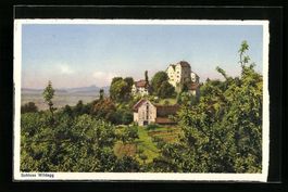 AK Wildegg, Blick zum Schloss, 1968