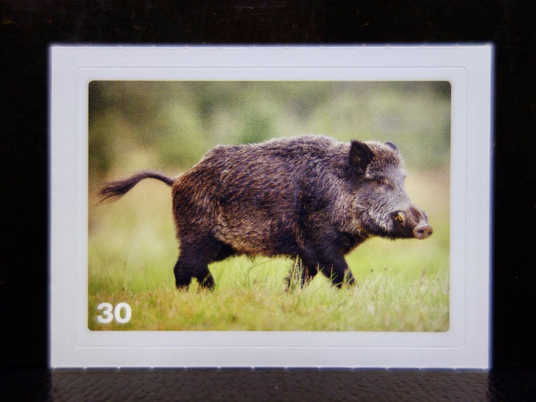 Migros Cartes à collectionner: MIGROS MANIA Nature Detectives Nr. 30 – Neuf avec emballage d'origine à Kerzers par djstarsky73