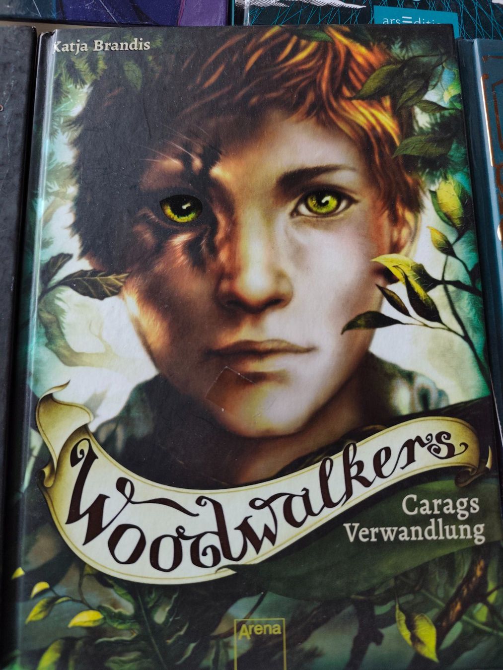 Libri: Jugendbuchpaket – Usato da Tegerfelden venduto da jea_f5xk 2