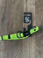 Hundehalsband FreeZack neongrün 16mm x 25-41cm neu