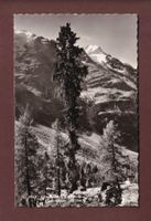 Lötschental - FAFLERALP - Bietschhorn - 1954
