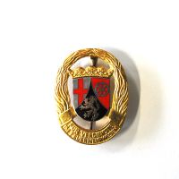 Feuerwehr-Ehrenzeichen Rheinland-Pfalz Gold