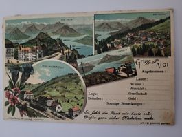 Ansichtskarte Gruss vom Rigi gelaufen 1905 Box1