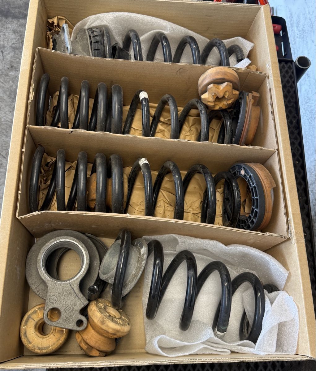 Il mondo degli animali: Original BMW M6/M5 Federnsatz ab 1.-  – Usato da Kleindöttingen venduto da ABC_Pneu 1