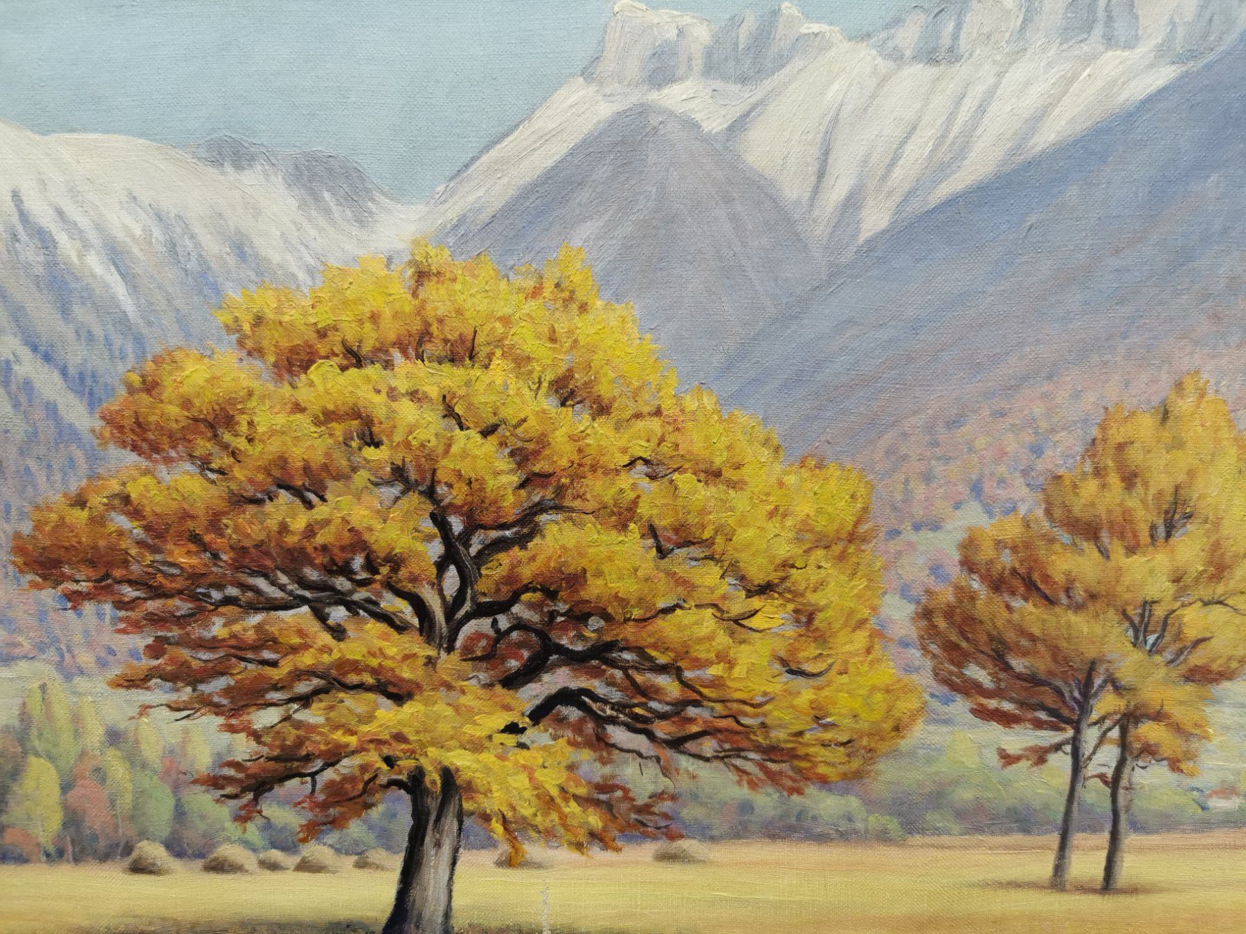 Gemälde: HUILE SUR TOILE SIGNÉE ET DATÉE 36 – Gebraucht aus Genève von Qanil77 1