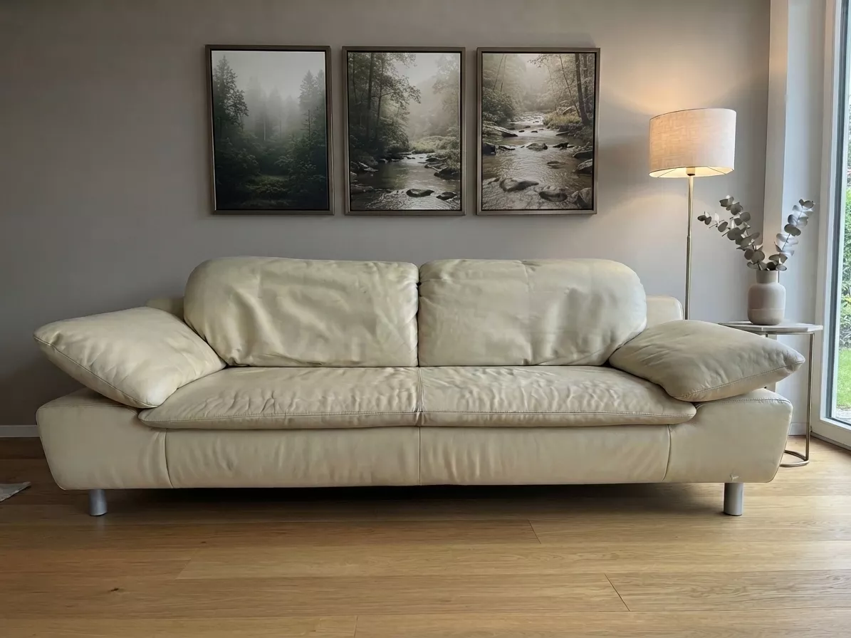 Sofas: Echtleder Sofa – D'occasion à Winterthur par TL123