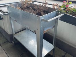 Hochbeet silber