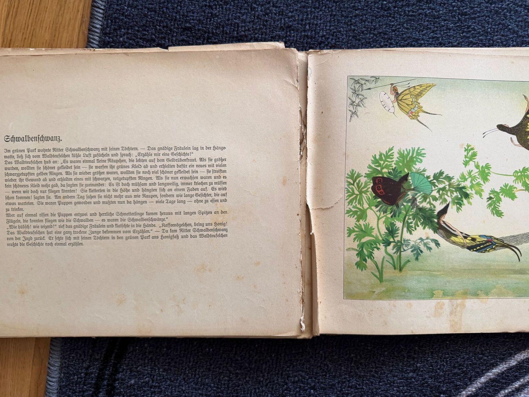 Libri: Sommervögel, Märchen von E. Kreidolf – Difettoso da Ossingen venduto da kimpossibel 4