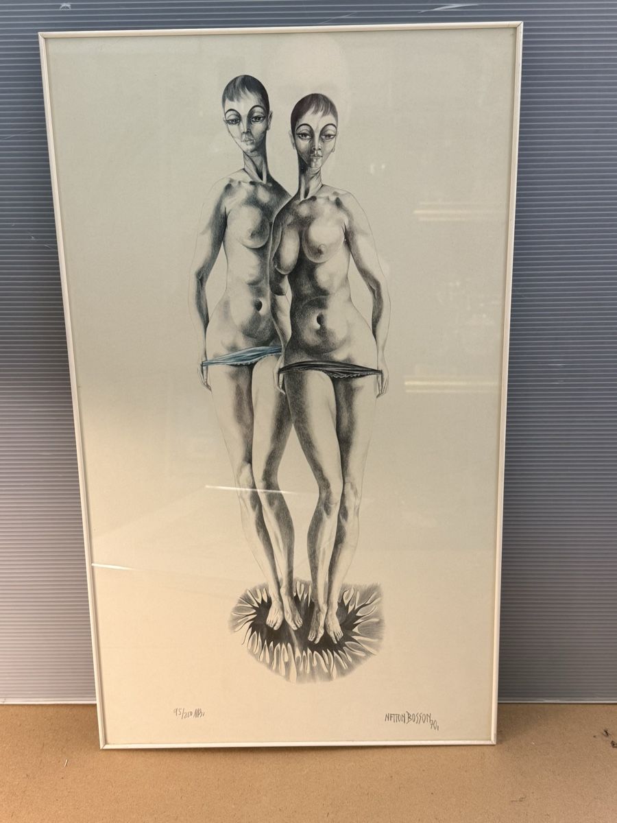 Grafica & Litografie: Netton Bosson 70’ – Usato da Solothurn venduto da NUVICO 4