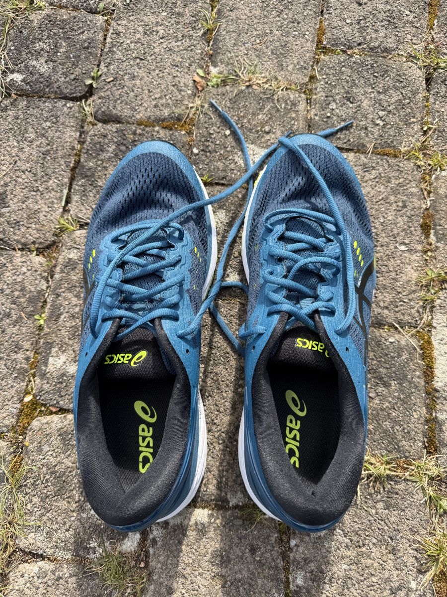 Asics Scarpe da uomo: Asics Gel Kayano 24 Grösse 45 – Usato da Effretikon venduto da Saendu24 1