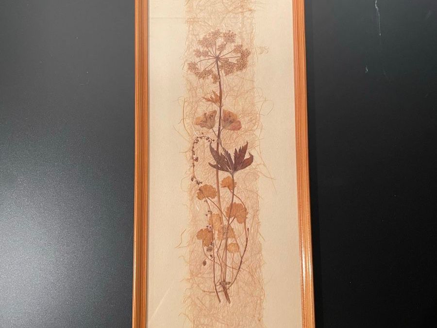 Poster & Bilder: Original Relly Mailaender Trockenblumen Bild gerahmt – Gebraucht aus Dietlikon von VintageStudioZurich