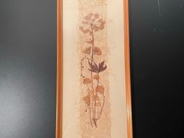 Original Relly Mailaender Trockenblumen Bild gerahmt