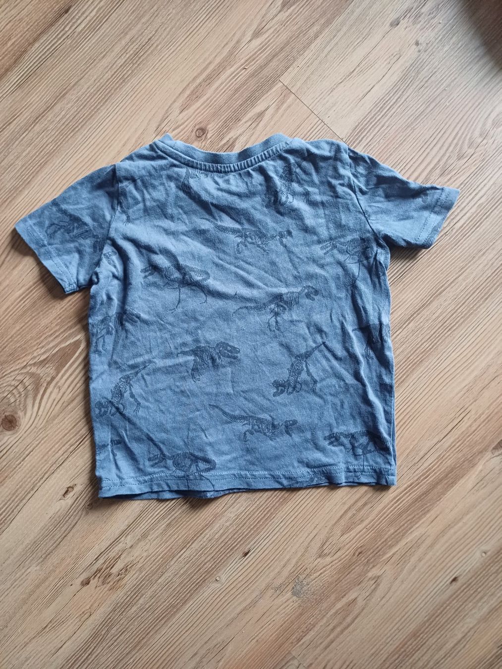 Camicie, Top & T-shirt: Süsses Dinoprint T-Shirt Gr. 80 – Usato da Balsthal venduto da Memphis18 1