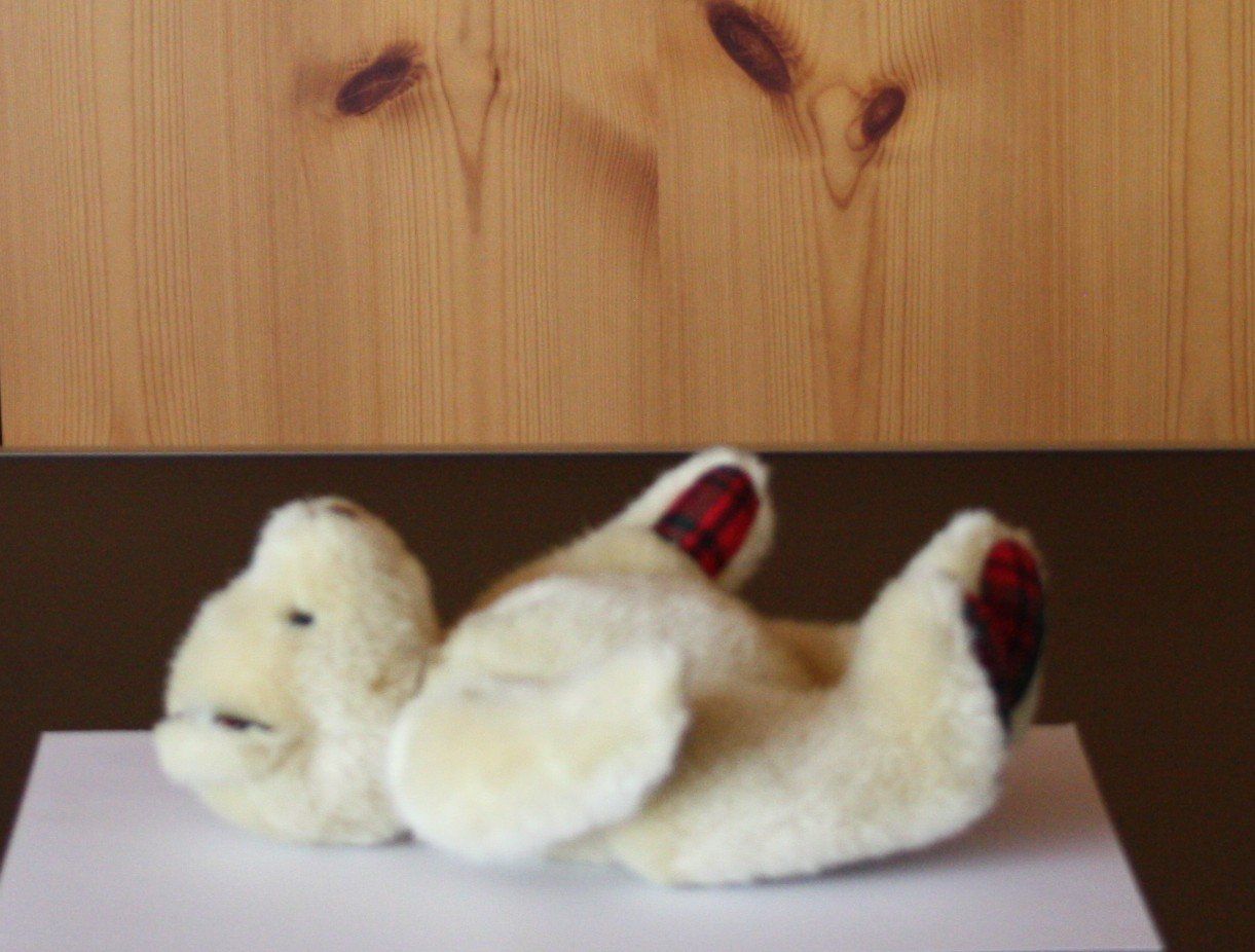 Giocattoli: Teddybär Bär  Gliedmassen beweglich – Usato da Flüelen venduto da Diversicum-Shop 6