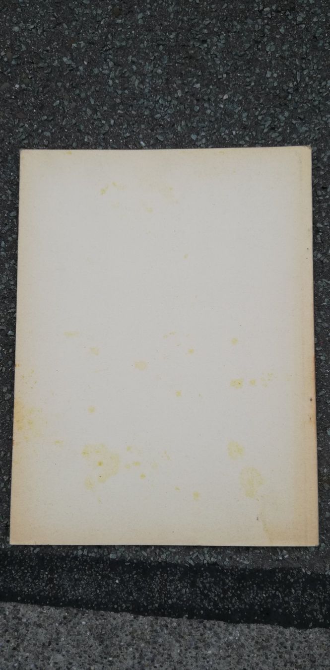 Libri: Berner Heimatbücher: Bernische Schliff-Scheiben – Usato da Thun venduto da Matthias72 2