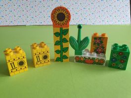 Duplo (X03) Set Blumen