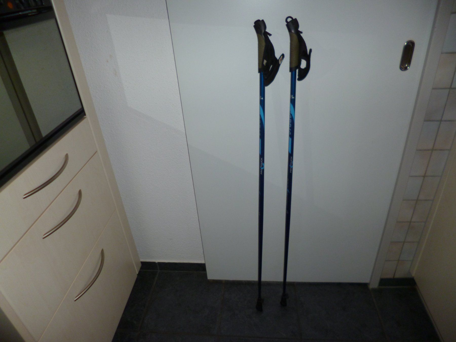 Bastoncini da trekking: Nordic Stöcke Pro Touch 5.0 Länge 113 cm – Usato da Unterseen venduto da marathon1