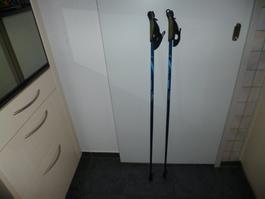 Nordic Stöcke Pro Touch 5.0 Länge 113 cm